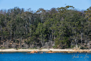Red Rocks in the water, East Boyd Bay, Eden, NSW Australia