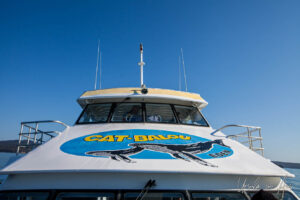 Cabin of Cat Balou from the deck, Eden Harbour, NSW Australia