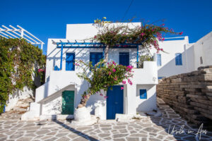 Blue and white house front with purple bougainvillea climbing, Parikia, Paros Greece.