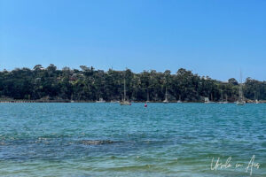 Boats on moorings in Weecon Cove, Eden Australia