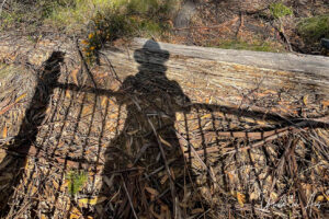 Shadow of a person at a fence, Budginbro Lookout, Eden Australia