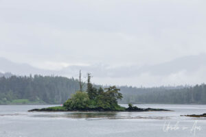 Small island covered in green trees, Chatham Sound, BC Canada