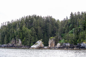 Coastal landscape of evergreen trees and rocks, Chatham Sound, BC Canada