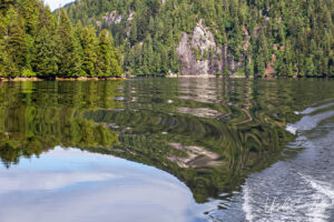 An evergreen forest reflected in Khutzeymateen Chanel, BC Canada