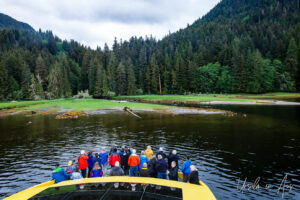 Tourists on the bow of a boat watching a grizzly in the grass, Khutzeymateen Chanel, BC Canada