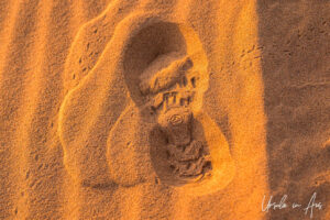 Bootprint and animal tracks in the sand, Erg Chebb, Morocco.