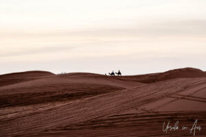 People on camelback silhouetted against a Sahara sky, Erg Chebb, Morocco.