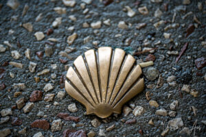 A golden shell marking the Way of St. James, Pont Valentré, Cahors France