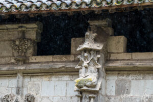 Rain on a stone decoration, the cloisters, Cathédrale Saint Étienne de Cahors, France.