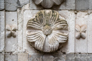 Stone flower, north porch, Cathédrale Saint Étienne de Cahors, France.
