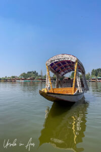 Shikara on Dal Lake, Jammu and Kashmir, India