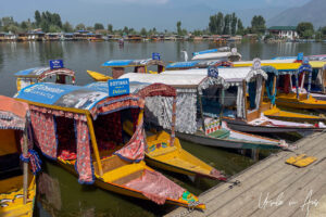 Row of shikara along a wooden dock, Dal Lake, Jammu and Kashmir, India