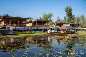 Houseboats and shikaras on Dal Lake, Jammu and Kashmir, India