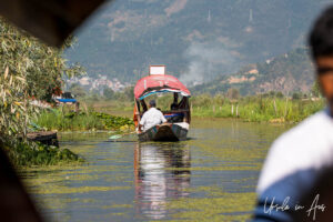 Framed view of the back of another shikara, Dal Lake, Jammu and Kashmir, India