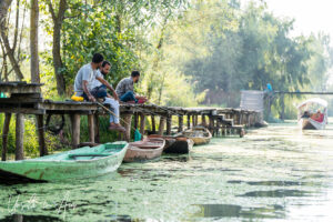 Men fishing from a walkway, Dal Lake, Jammu and Kashmir, India