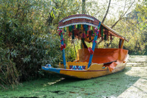 Empty orange shikara, Dal Lake, Jammu and Kashmir, India