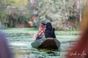 Women in a rowboat, Dal Lake, Jammu and Kashmir, India