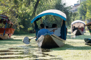 Shikara on the waterways, Dal Lake, Jammu and Kashmir, India