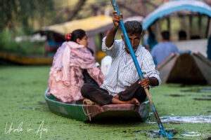Man and woman in a row boat, Dal Lake, Jammu and Kashmir, India