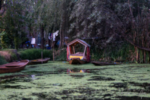 Empty shikara on a darkening Dal Lake, Jammu and Kashmir, India