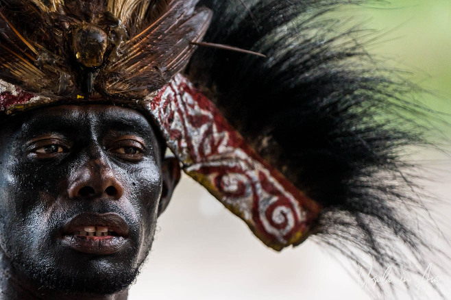 Portrait: Western Papuan man in dark paint and a cassowary headdress, Mansinam, Western Papua, Indonesia.