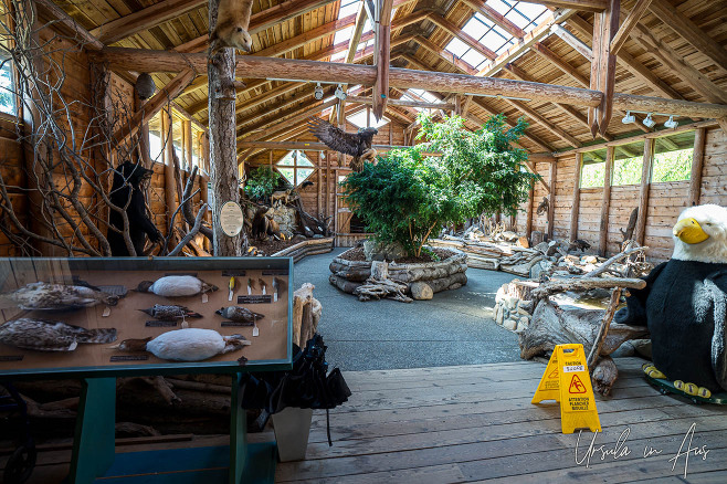 Display hall, North Island Animal Rescue, Errington, BC Canada