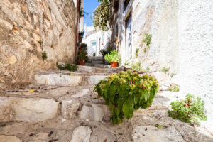 Potted plant on a worn stairway, Apeiranthos, Naxos, Greece