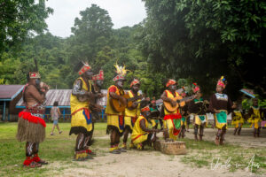 Papuans musicians in traditional costume, Kwatisore, Papua Indonesia