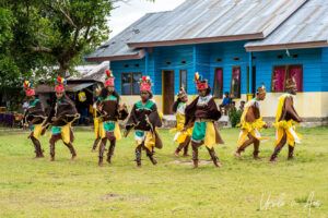 Young Papuans dancing their bird of paradise dance, Kwatisore, Indonesia