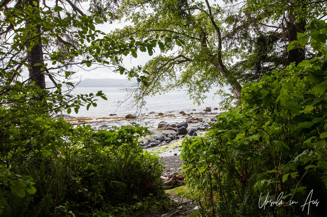 Rocky beach from the Balance Rock car park, Haida Gwaii, BC Canada