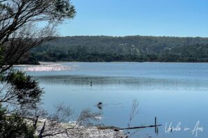 Lake Curalo from the boardwalk, Eden Australia
