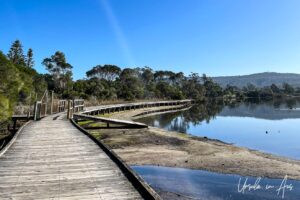 A curve in the Lake Curalo boardwalk, Eden Australia