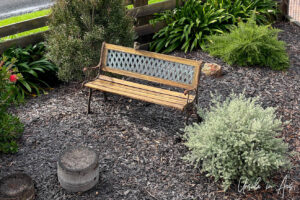 Wooden garden bench on a wood chip surface, Eden NSW Australia