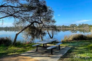 Picnic bench overlooking Lake Curalo, Eden NSW Australia