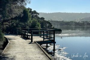 Bench on the Lake Curalo boardwalk, Eden Australia