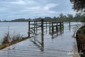 Bench on the Lake Curalo boardwalk, Eden Australia