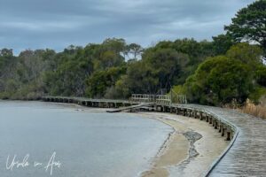 A curve in the Lake Curalo boardwalk, Eden Australia