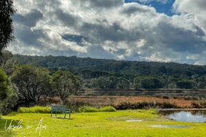 A bench on green grass, Lake Curalo, Eden Australia