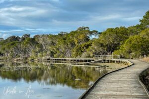 Curves in the Lake Curalo boardwalk, Eden Australia