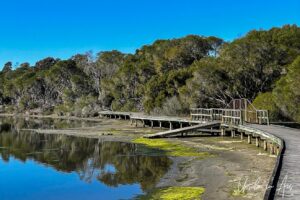 A curve in the Lake Curalo boardwalk, Eden Australia