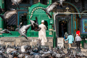 Pigeons in flight in the Shah-e-Hamadan Mosque courtyard, Srinagar, Jammu and Kashmir, India.