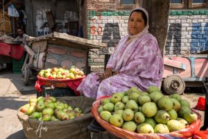 Woman in a headscarf selling apples, Srinagar Nowhatta, Jammu and Kashmir, India.