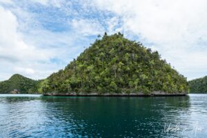 Tropical jungle on a small conical island, Pulau Wayag, Southwest Papua Indonesia