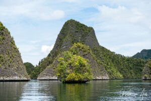 Tropical jungle on small conical islands, Pulau Wayag, Southwest Papua Indonesia
