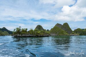 Tropical jungle on small conical islands, Pulau Wayag, Southwest Papua Indonesia