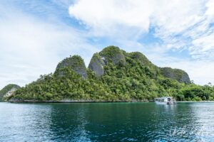 A tender approaching a jungle-covered karst island, Raja Ampat, Indonesia.