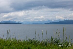 Grasses and water on Moresby Island, Haida Gwaii BC Canada
