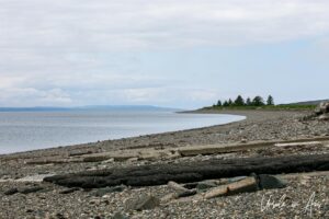View over driftwood and a stony beach, Moresby Island, Haida Gwaii BC Canada
