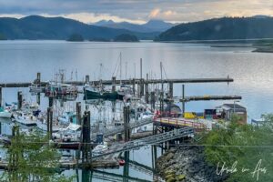 Blue light over Charlotte Wharf, Daajing Giids Haida Gwaii BC Canada