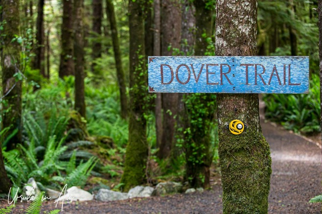 Signpost on the Louise Dover Loop trail into tall trees, Moresby Island, Haida Gwaii BC Canada 